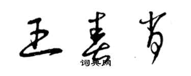 曾慶福王春肖草書個性簽名怎么寫