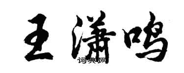 胡問遂王瀟鳴行書個性簽名怎么寫