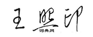 駱恆光王照印草書個性簽名怎么寫