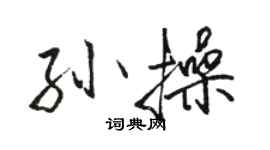 駱恆光孫操行書個性簽名怎么寫