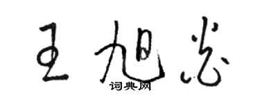 駱恆光王旭炎草書個性簽名怎么寫
