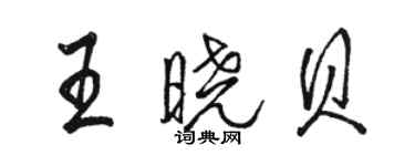 駱恆光王曉貝行書個性簽名怎么寫