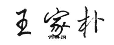 駱恆光王家朴行書個性簽名怎么寫