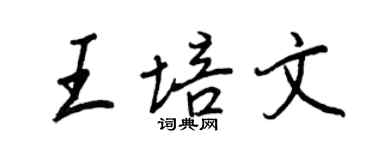 王正良王培文行書個性簽名怎么寫
