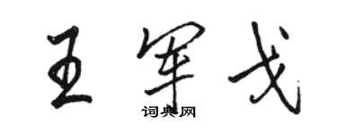 駱恆光王軍戈行書個性簽名怎么寫