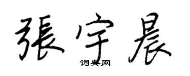 王正良張宇晨行書個性簽名怎么寫