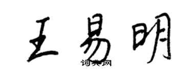 王正良王易明行書個性簽名怎么寫
