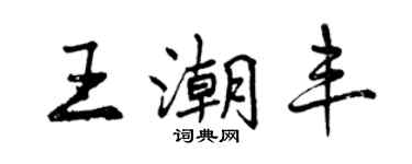 曾慶福王潮豐行書個性簽名怎么寫