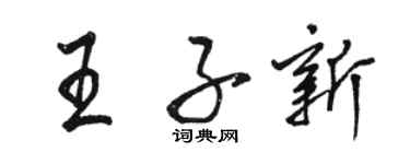 駱恆光王子新行書個性簽名怎么寫