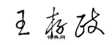 駱恆光王存政草書個性簽名怎么寫