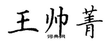 丁謙王帥菁楷書個性簽名怎么寫
