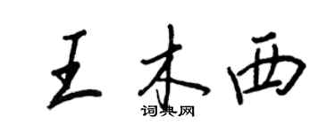 王正良王木西行書個性簽名怎么寫