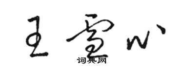 駱恆光王雪心草書個性簽名怎么寫