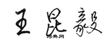 駱恆光王昆毅行書個性簽名怎么寫