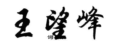 胡問遂王望峰行書個性簽名怎么寫