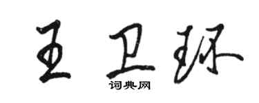 駱恆光王衛環行書個性簽名怎么寫
