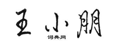 駱恆光王小朋行書個性簽名怎么寫