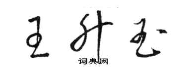 駱恆光王升玉草書個性簽名怎么寫