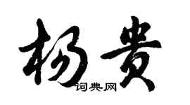 胡問遂楊貴行書個性簽名怎么寫