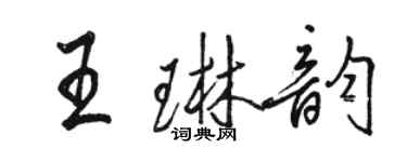 駱恆光王琳韻行書個性簽名怎么寫