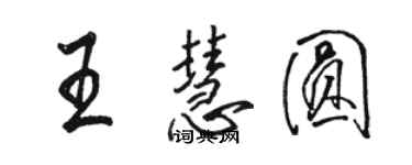 駱恆光王慧圓行書個性簽名怎么寫