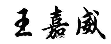 胡問遂王嘉威行書個性簽名怎么寫