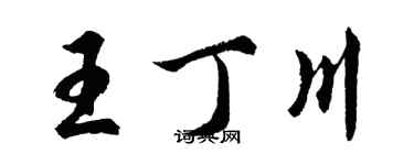 胡問遂王丁川行書個性簽名怎么寫