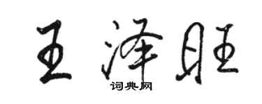 駱恆光王澤旺行書個性簽名怎么寫