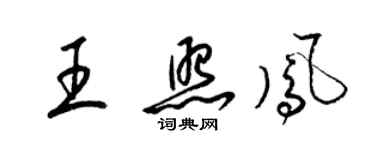 梁錦英王照鳳草書個性簽名怎么寫