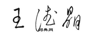 駱恆光王德晶草書個性簽名怎么寫