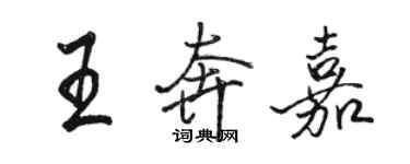 駱恆光王奔嘉行書個性簽名怎么寫