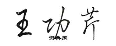 駱恆光王功芹行書個性簽名怎么寫