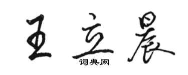 駱恆光王立晨行書個性簽名怎么寫