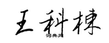 王正良王科棟行書個性簽名怎么寫