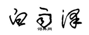 朱錫榮白雨澤草書個性簽名怎么寫