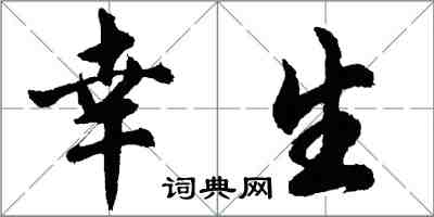 胡問遂幸生行書怎么寫