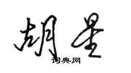 駱恆光胡星行書個性簽名怎么寫