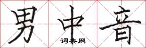 駱恆光男中音楷書怎么寫