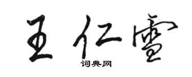 駱恆光王仁雪行書個性簽名怎么寫