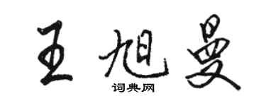 駱恆光王旭曼行書個性簽名怎么寫