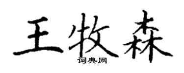 丁謙王牧森楷書個性簽名怎么寫
