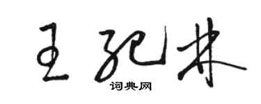駱恆光王紀林草書個性簽名怎么寫