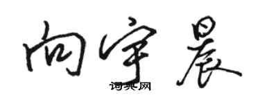 駱恆光向宇晨行書個性簽名怎么寫