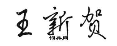 駱恆光王新賀行書個性簽名怎么寫