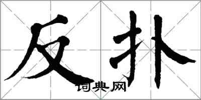 翁闓運反撲楷書怎么寫