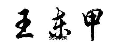 胡問遂王東甲行書個性簽名怎么寫