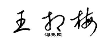 梁錦英王相梅草書個性簽名怎么寫