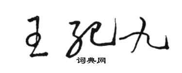 駱恆光王紀九草書個性簽名怎么寫
