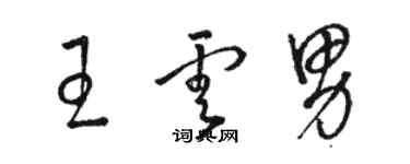 駱恆光王雲男草書個性簽名怎么寫