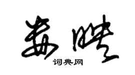 朱錫榮婁映草書個性簽名怎么寫